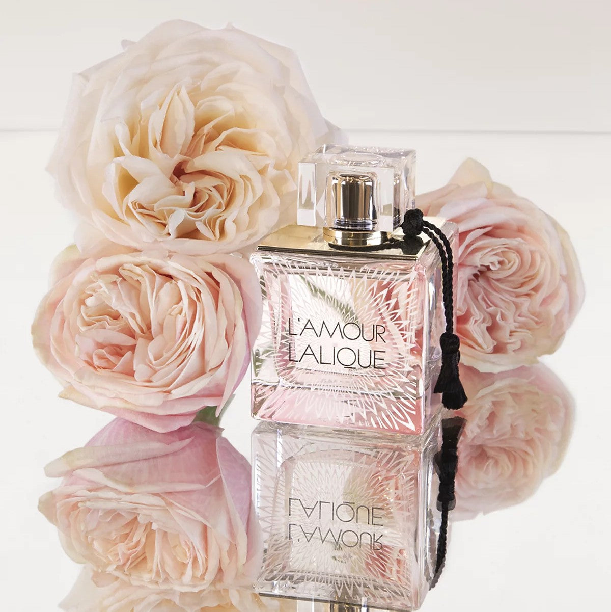 Perfumes for Her