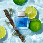 Banderas Blue Seduction for Men Eau de Toilette