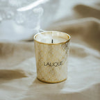 Noir Premier, Plume Blanche 1901, Scented Candle 190g